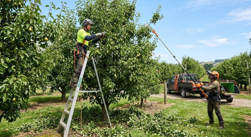 Orchard Tree Pruning in Doylestown, PA