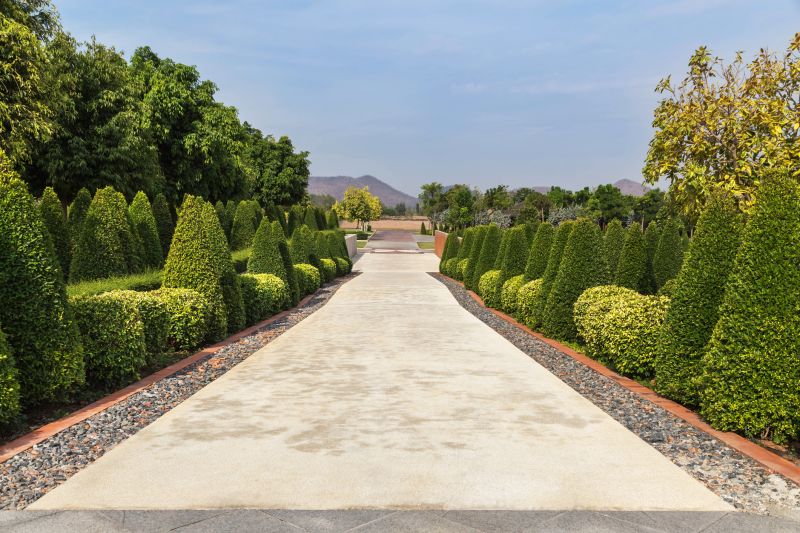Trimmed Shrubs Line a Driveway