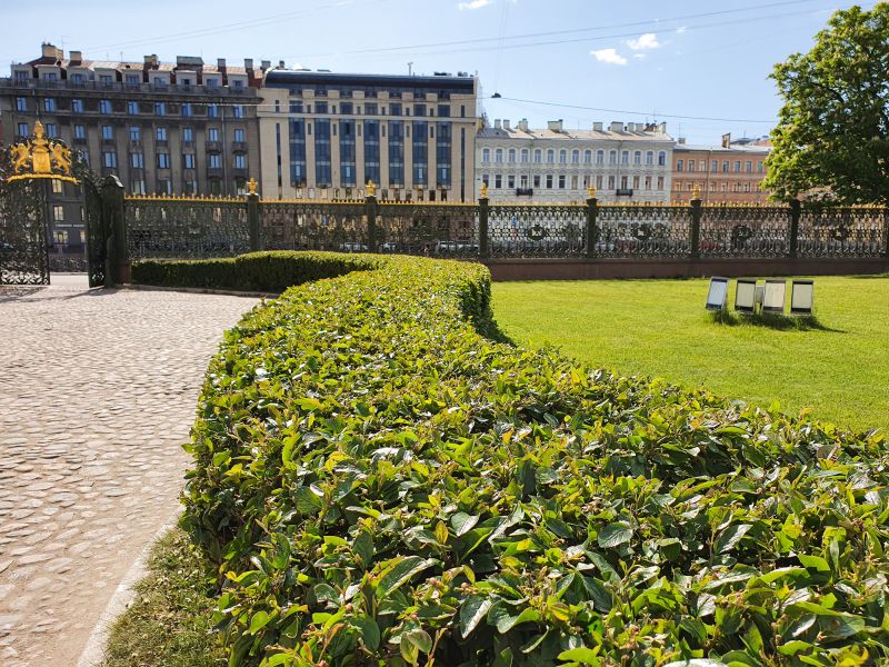 Garden Path with Shrubs