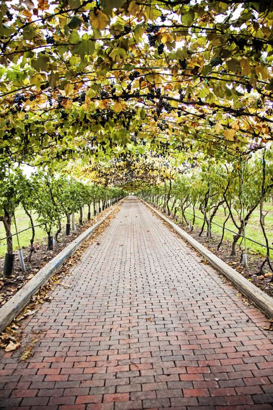 Material Picks that Last